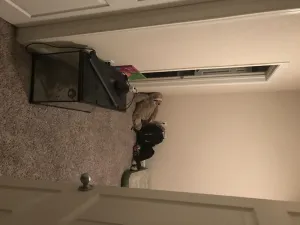 Image of Nice And Comfy Getaway