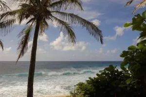 Image of Banzai Surf Combo - AC walk to beach surf snorkel
