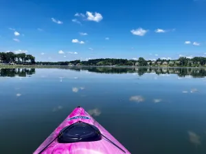 Image of This House Got RIZZ - Recently Renovated Lake Thompson Canal Home