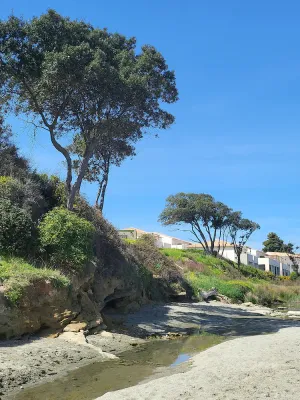 Image of Délices de Sable au Soleil en Tout Compris