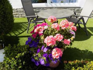 Image of Holiday apartment Schöneberg for 1 - 2 persons with 1 bedroom - Holiday apartment