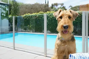 Image of The Portsea Hideaway