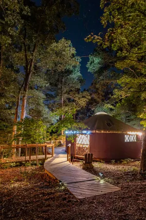 Image of Yurt Floating in the Forest