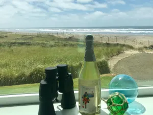 Image of Make a SurReel Cocktail - 1 part water + 1 part sand + 2 parts GREAT VIEW