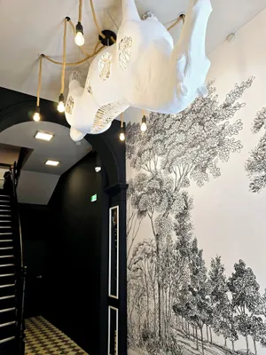 Image of City Hotel Storch