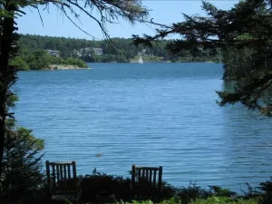 Image of Unique Cove Side Cabin on Somes Sound Next to Babbling Brook