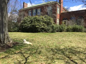 Image of Historic Mansion Amazing Wonderland !