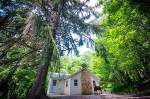 Image of Place in the Pines | 1BR,1BA,Hot Tub,Fireplace