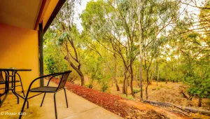 Image of Meninya Palms Resort Moama