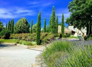 Image of Gite Denise ⭐⭐⭐- Charm and authenticity at the entrance to the Gorges de l'Ardèche