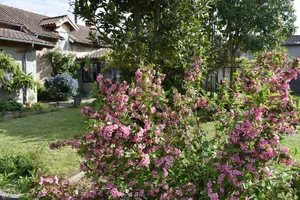 Image of La Maison Molières