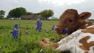 Image of Welcome to God's country.