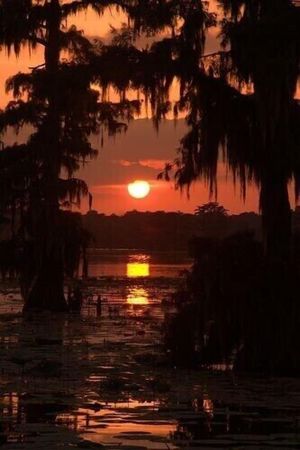 Image of Walk to Downtown Breaux Bridge - Crawfish Capitol of the World