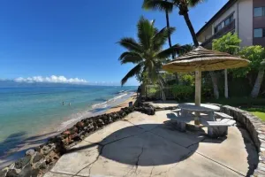 Image of Kaleialoha 403