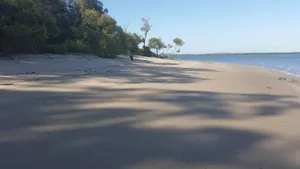 Image of Pet and Family Friendly Peaceful Island W'front home, crabbing, kayaking, bikes