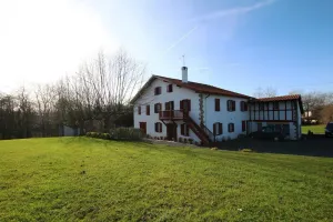 Image of Chirikina