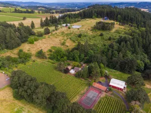 Image of Old Farm: A Modern-day 5-bedroom Farmhouse on Vineyard with Hot Tub!