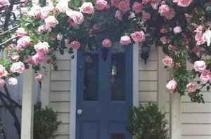Image of Rose Cottage B and B Quiet Getaway