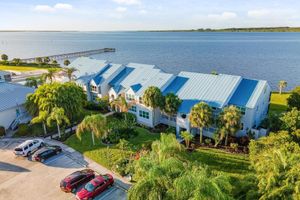 Image of Blue Turtle - on the Myakka River - Big water views