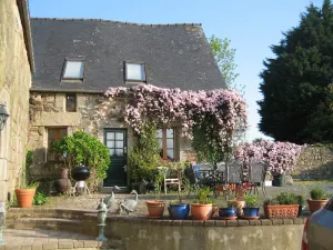Image of A Pretty Stone Cottage, Beautifully Renovated, Full of Charm and Character.