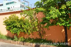 Image of BEN VIVERE ADDRESS - HOUSE FOR SEASONAL RENTALS