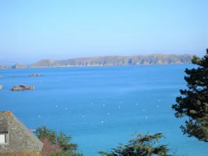Image of Beautiful Sunny Apartment, Sea View, Direct access to the beach on foot.  Wireless