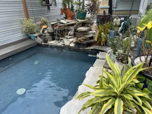 Image of Hidden Oasis Guest Apt+Kg Bd 2bikes\/close DT
