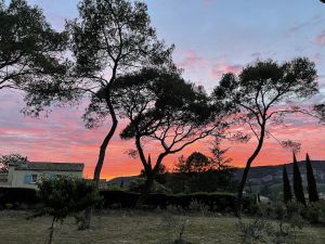Image of Between Aix and the Sainte Victoire