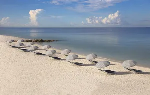 Image of Edgewater Beach Hotel