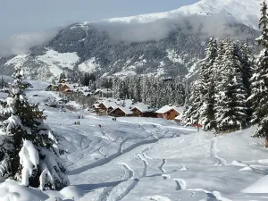 Image of Courchevel ski in ski out, south-facing, in the heart of nature next to the Granges ski lift