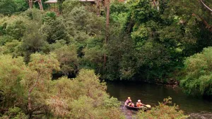 Image of Water Gums Retreat, Barrington River, Barrington Tops area, perfect for groups
