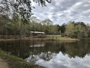 Image of Our Family Pond House