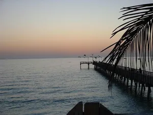 Image of Venice Island Beach walk 2 beach, Sharkey’s, legacy trail,-2 homes available