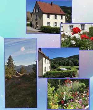 Image of Belle Vallée de Munster GÎTE RDC 4pers 65m2 wifi