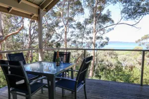 Image of Pelicans at Denmark