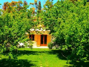 Image of La petite Palasse