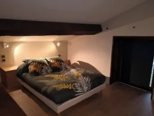 Image of Perougeoise house with private jacuzzi