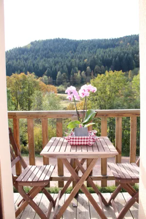 Image of Quiet apartment 5 minutes from Bol d'air, hiking and mountain bike trails