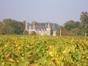 Image of Gîte Club House 2 & 3 Gîte CARQUEFOU Centre