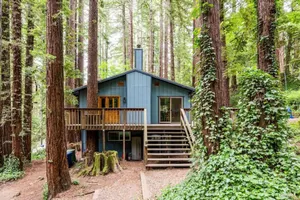 Image of Adventure house under the redwoods, with spa! 🌲