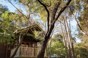 Image of Cozy Studio Chalet perfect for couples and a veranda overlooking the bushland