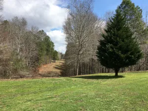 Image of Country Cabin...We have cleaned the cabin top to bottom! Get out of the city!
