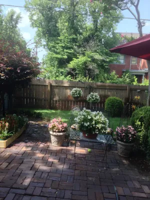 Image of 1882 Carriage House In The Heart Of The City!