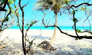Image of POSHPADZ Villa Del Sol Walk to Jupiter Beach