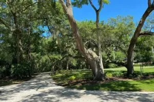 Image of Charming, Pet Friendly Retreat in Heart of NE FL