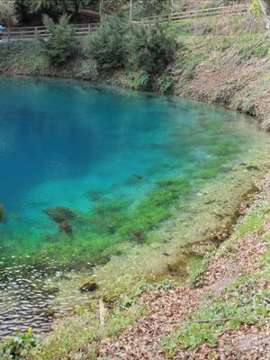 Image of Vacation in the Swabian Alb