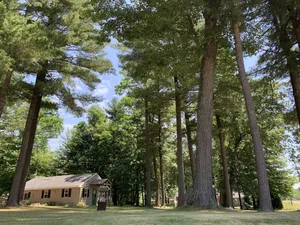 Image of TOWERING PINES! Charming 2 bedroom cottage near lakes in WAUTOMA