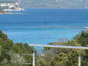Image of Contemporary villa seafront in the heart of nature