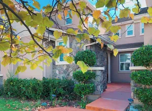 Image of Cozy King 1B1b in great Tri-Valley Area