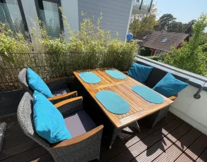 Image of Kleine Robbe